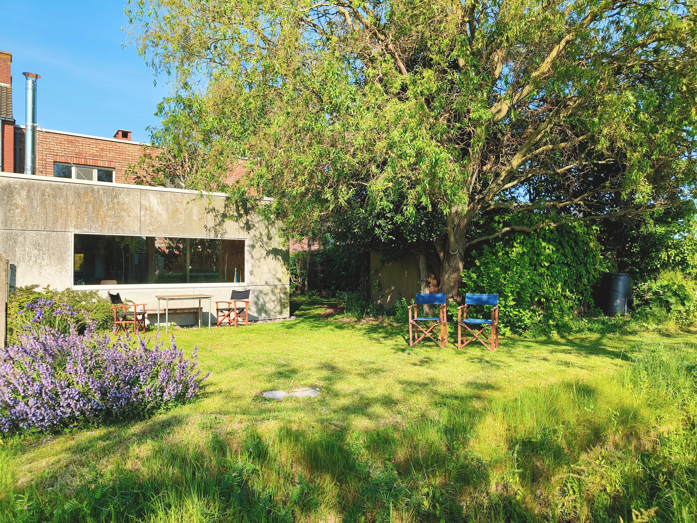 Tuin